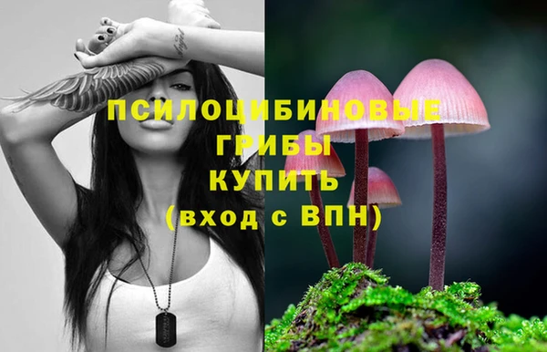 Альфа ПВП Алексин