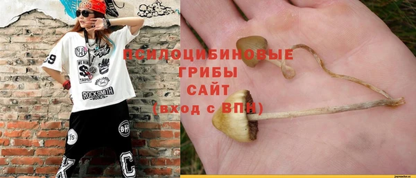сатива Алексеевка