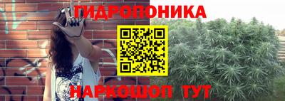 Альфа ПВП Пенза