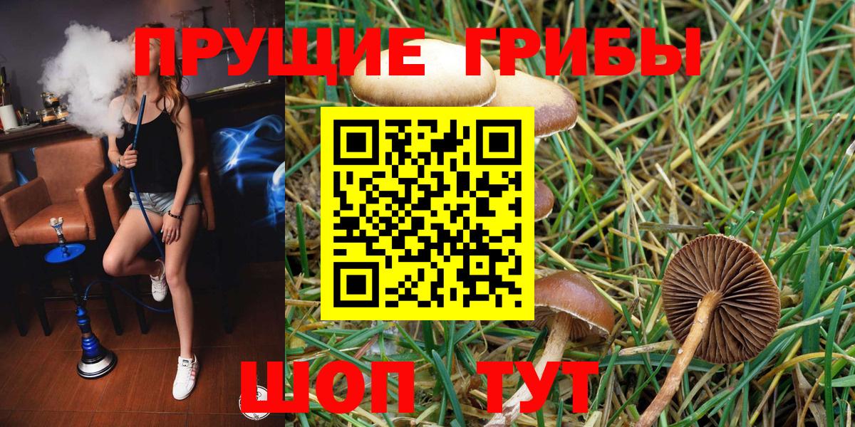 Галлюциногенные грибы Psilocybe  Вход с VPN  Галлюциногенные грибы Psilocybine cubensis  Ухта 