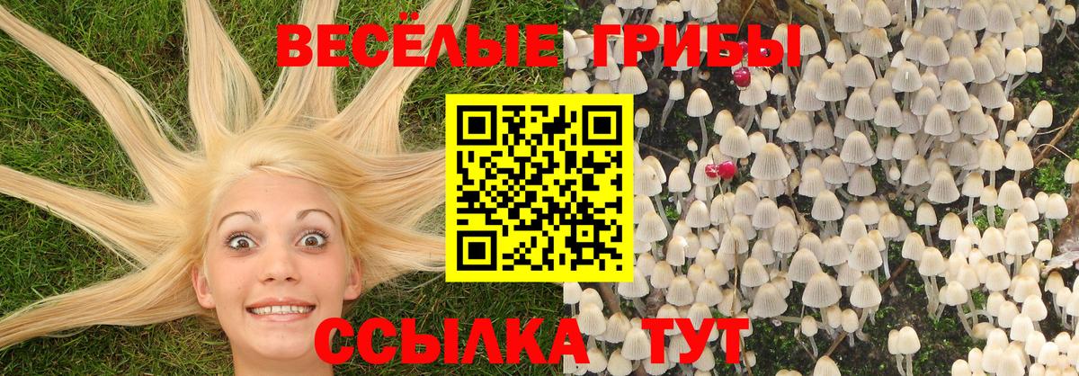 Галлюциногенные грибы мухоморы Ухта
